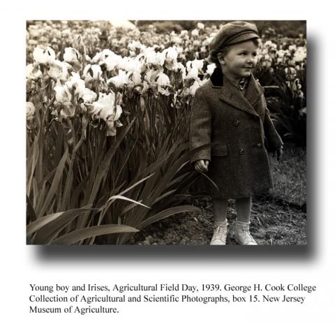 Young boy and irises, Agricultural Field Day, 1939, George H. Cook College Collection of Agricultural and Scientific Photographs, box 15, New Jersey Museum of Agriculture.