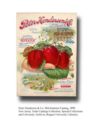 Peter Henderson & Co. Mid-Summer Catalog, 1899. New Jersey Trade Catalogs Collection, Special Collections and University Archives, Rutgers University Libraries.